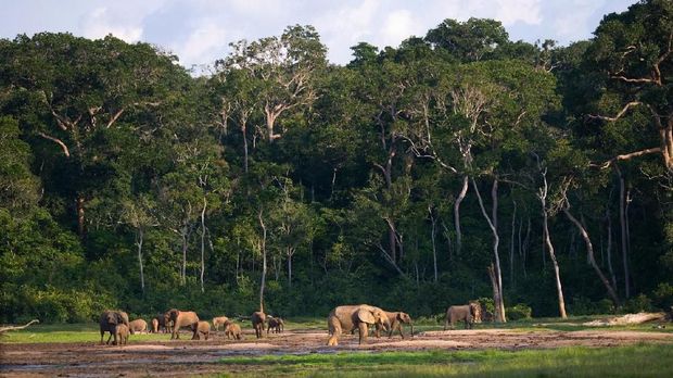 Negara 'Berbahaya' dengan Suguhan Alam yang Cantik