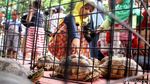 Berkunjung ke Pameran Flora-Fauna di Gor Sunter