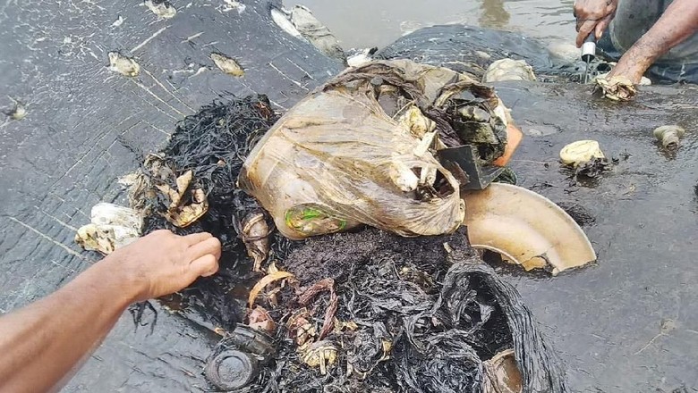 Tragedi Paus Akibat Sampah Terbawa Arus Tragedi Paus Akibat Sampah Terbawa Arus
