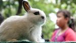 Berkunjung ke Pameran Flora-Fauna di Gor Sunter