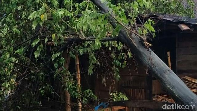Hujan Deras Disertai Angin Kencang Landa Grobogan Hujan Deras Disertai Angin Kencang Landa Grobogan