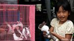 Berkunjung ke Pameran Flora-Fauna di Gor Sunter