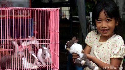 Berkunjung ke Pameran Flora-Fauna di Gor Sunter