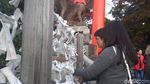 Foto: Kuil Seribu Gerbang di Jepang