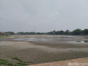 Kolam Segaran Tinggalan Majapahit Kering, Seperti Apa Penampakannya?