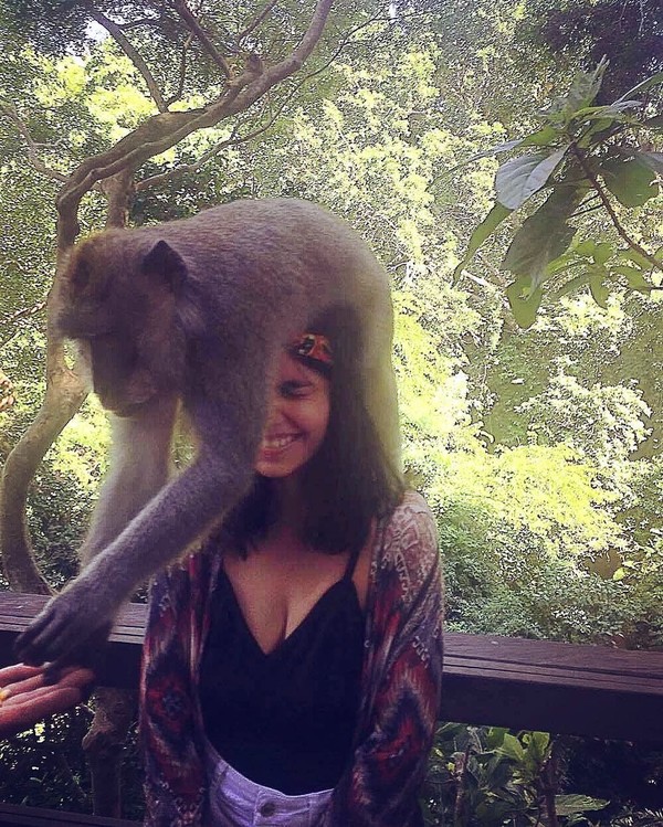 Kat beberapa kali liburan ke Bali, pada 2016 silam Kat ke Bali dan bercengkrama dengan monyet-monyet di Ubud. Wah, hati-hati Kat! (Instagram/@katramnani) Kat beberapa kali liburan ke Bali, pada 2016 silam Kat ke Bali dan bercengkrama dengan monyet-monyet di Ubud. Wah, hati-hati Kat! (Instagram/@katramnani)