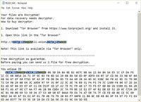 Ransomware Peniru Menyerang RDP dan Crack