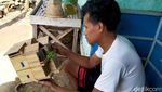 Saat Limbah Bambu Disulap Jadi Kerajinan Tangan Bernilai Tinggi
