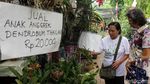 Berkunjung ke Pameran Flora-Fauna di Gor Sunter