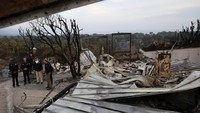 Pakar lingkungan menyebut cuaca, perubahan iklim dan peningkatan populasi merupakan faktor utama yang menyebabkan kebakaran. REUTERS/Leah Millis.