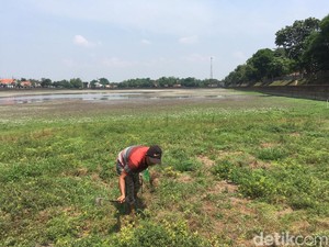 Airnya Mengering, Waktunya Kolam Segaran Dibersihkan