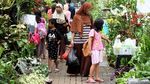 Berkunjung ke Pameran Flora-Fauna di Gor Sunter
