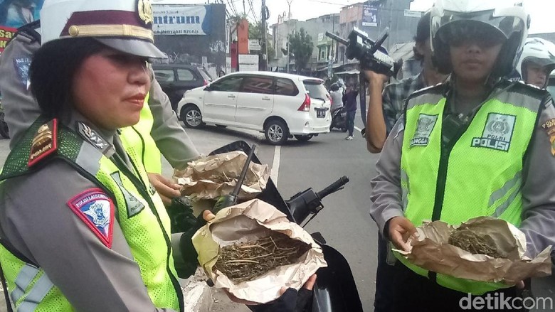 Bawa Ganja, Pemotor Tabrak Polisi saat Razia di Depok Bawa Ganja, Pemotor Tabrak Polisi saat Razia di Depok