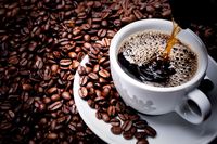 Waduh! 60 Persen Varietas Kopi di Dunia Terancam Punah