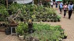 Berkunjung ke Pameran Flora-Fauna di Gor Sunter