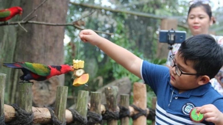 Foto: taman safari Foto: taman safari