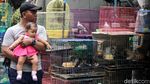 Berkunjung ke Pameran Flora-Fauna di Gor Sunter