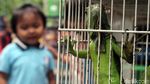 Berkunjung ke Pameran Flora-Fauna di Gor Sunter
