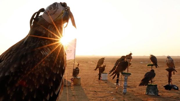 Falconers of Egyptian clubs and austringers are seen during sunrise and celebration on World Falconry Day at Borg al-Arab desert in Alexandria, Egypt, November 17, 2018. Picture taken November 17, 2018. REUTERS/Amr Abdallah Dalsh