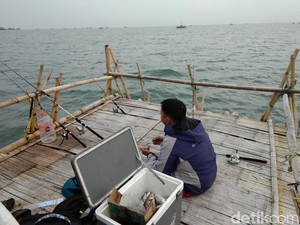 Sensasi Mancing Mania di Tengah Teluk Naga Tangerang
