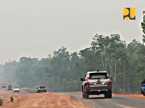 Jalan Perbatasan di Papua & Kalimantan Terus Dibangun, Ini Progresnya