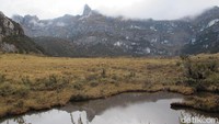 Pegunungan Jayawijaya memiliki bentang alam lengkap, dari hutan belantara, savana sampai bagian puncak-puncaknya yang berupa bebatuan tandus nan tajam (Afif Farhan/detikTravel)