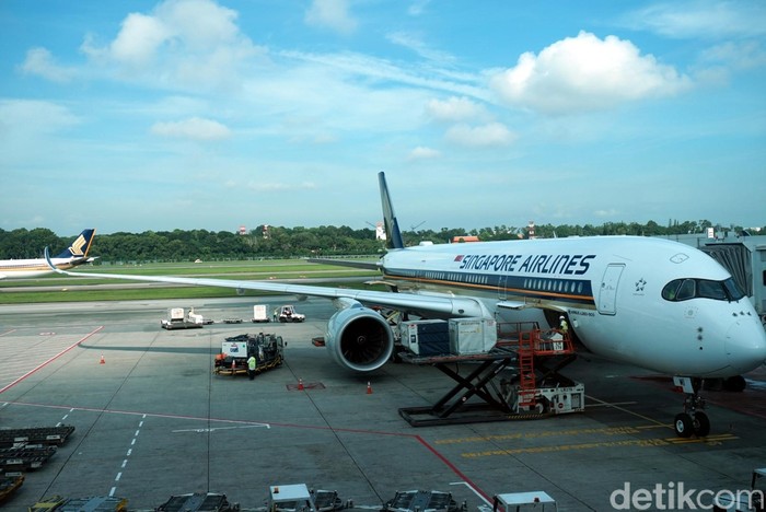 Merasakan Kelas Ekonomi Rasa Bisnis Singapore Airlines di pesawat A350-900 dari Singapore ke Brisbane, Australia