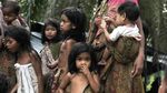 Potret Kehidupan Orang Rimba yang Bertahan di Tengah Modernisasi
