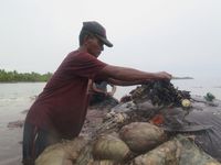 Kurangi Sampah Plastik, Turis ke RI Kena Pungutan US$ 10