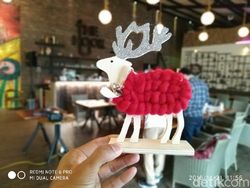 Asyiknya Jeprat-jepret dengan Xiaomi Redmi Note 6 Pro