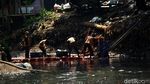 Potret Kali Ciliwung yang Masih Penuh Sampah