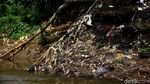 Potret Kali Ciliwung yang Masih Penuh Sampah
