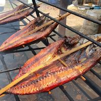 5 Hidangan Berbahan Ikan Khas Indonesia Ini Patut Dicoba