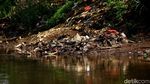 Potret Kali Ciliwung yang Masih Penuh Sampah