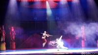 Ada subtitle bahasa Inggris di atas panggung untuk memberitahu penonton tentang alur ceritanya. Sepanjang pertunjukan tak ada dialog, hanya ada Kung Fu, tarian dan akrobatik, disertai iringan musik. (Rita Uli/detikTravel)