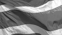 Jawabannya bendera Thailand. (Foto: detikHealth) 