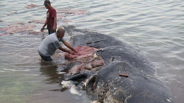 Februari 2019, Turis di Bali Kena Pungutan Sampah US$10 