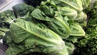 Namun, di sejumlah toko lainnya, masih ada beberapa yang menjual selada romaine dengan alasan pejabat setempat tak menyebutkan sumber selada uang berpotensi terkontaminasi, seperti pertanian atau perusahaan selada romaine tersebut. Chris Helgren/Reuters.