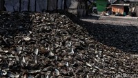 Tumpukan limbah kerang hijau dibiarkan begitu saja di kawasan pengupas kerang hijau di Muara Angke.