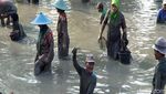 Serunya Berebut Ikan di Telaga Mungli Lamongan