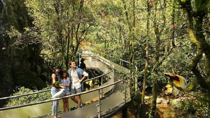Pengunjung menyusuri taman burung di Taman Safari Bogor