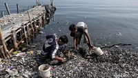 Selain itu limbah tersebut dapat mencemari laut di pesisir pantai.