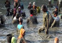 Peringati Maulid Nabi, Warga Lamongan Berebut Tangkap Ikan di Telaga