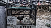 Perilaku kebersihan yang buruk juga akan menimbulkan berbagai penyakit.  