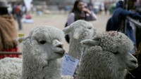 Namun, konvensi ini merupakan acara rutin tahunan (Foto: Dok. REUTERS/David Mercado)