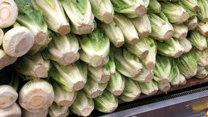 Diduga Sebarkan Bakteri E-Coli, Penjualan Selada Romaine Dilarang