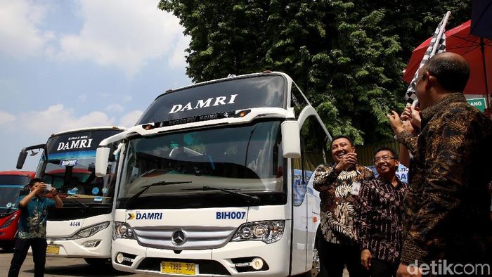 Ilustrasi Bus Damri/Foto: Rachman Haryanto Ilustrasi Bus Damri/Foto: Rachman Haryanto