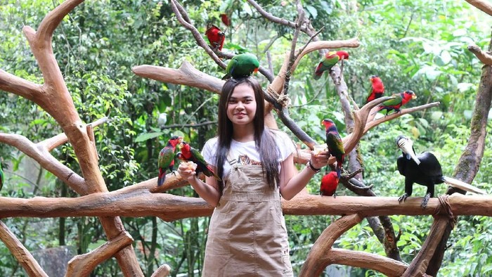 Serunya berfoto bareng berbagai jenis burung di Taman Safari Bogor