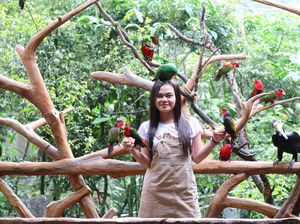 Liburan Seru, Selfie Bareng Ratusan Burung di Puncak