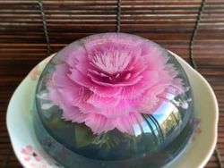 Keren! Lukisan 3D di Dalam Jelly